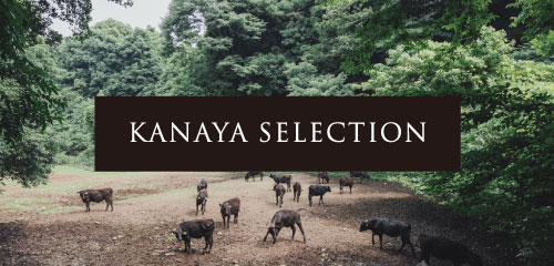 Kanaya Selection